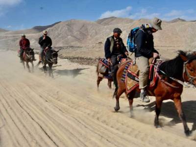 Horseback-Mustang-Himlayas