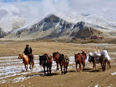 Horseback-Mustang-himlayas-1